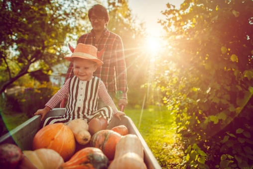 Kürbisse im Herbst