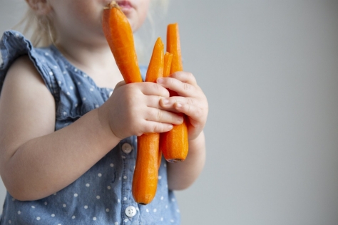 Vegetarisch oder vegan?