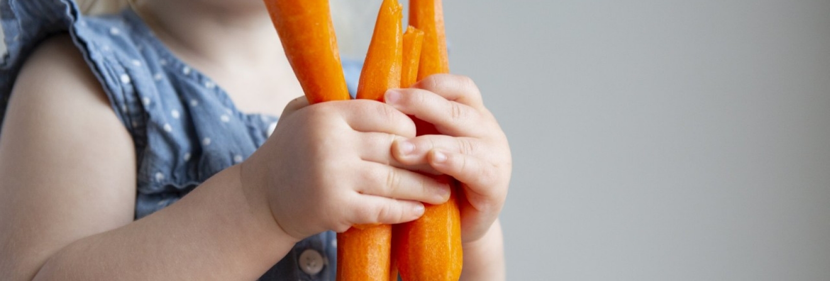Vegetarisch oder vegan?