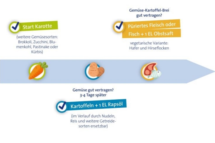 baby-breimahlzeit-mittag