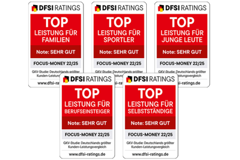 DFSI Ratings 2025